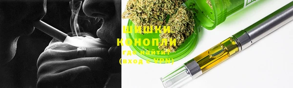 амф Арсеньев