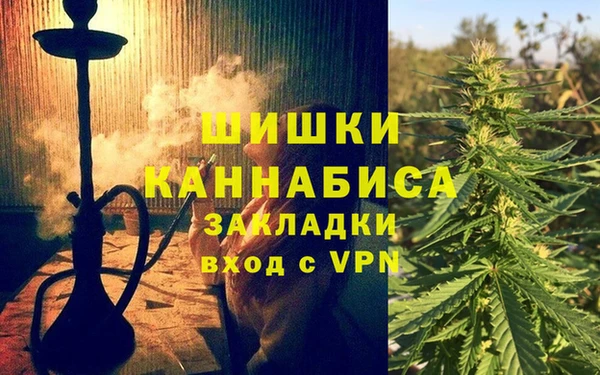 ешки Аркадак