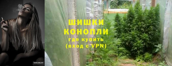 ешки Аркадак