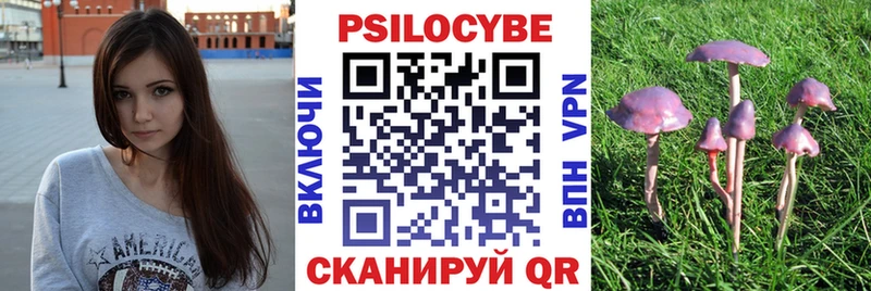 купить   Нижний Ломов  Галлюциногенные грибы ЛСД 